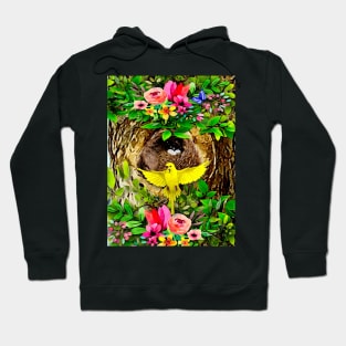 Nesting Budgerigar aka Parakeet Hoodie